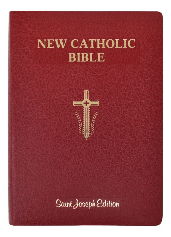 St. Joseph New Catholic Bible (Lg Print)