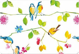 Watercolor Birds Blank Note Cards